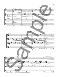Diacritical Marks - Score & Parts von Nico Muhly (Download) 