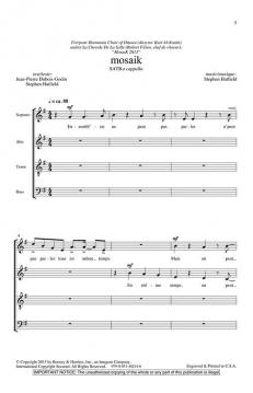 Mosaik (Stephen Hatfield) 
