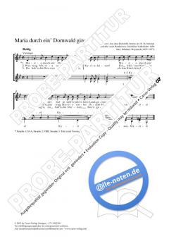 Maria durch ein' Dornwald g-Moll (Johannes Weyrauch) 