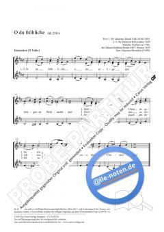 O du fröhliche D-Dur (2012) von Giacomo Mezzalira (Download) 