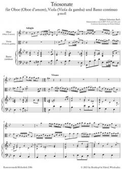 Triosonate g-moll nach BWV 76/8 und 528 (J.S. Bach) 