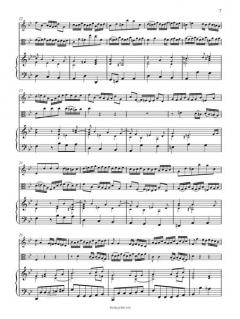 Triosonate g-moll nach BWV 76/8 und 528 (J.S. Bach) 
