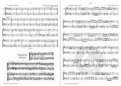 Neues Spielbuch Band 2 für 2 Bassblockflöten 
