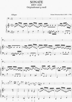 Sonate in d-Moll BWV 1020 (J.S. Bach) 