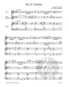 The Music of an Irish Harper 