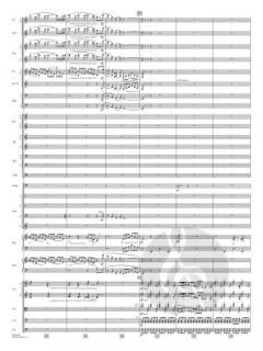 Devil's Dance von John Williams 