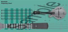 Mandolin Fingering Chart im Alle Noten Shop kaufen