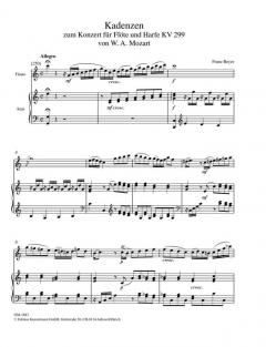 Kadenzen zu W. A. Mozart (W.A. Mozart) 
