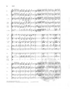 Der Karneval in Rom - Ouverture RV 502A/B/C-OU.ABC von Johann Strauss (Sohn) für Orchester - Partitur in der Fassung ABC im Alle Noten Shop kaufen