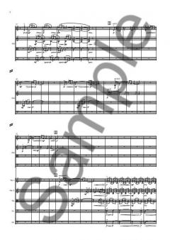 Chamber Music VI Op. 88 von Aulis Sallinen 