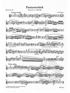 Fantasiestück g-Moll von Carl Nielsen für Klarinette und Klavier im Alle Noten Shop kaufen