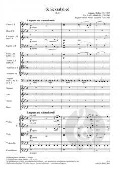 Schicksalslied op. 54 von Johannes Brahms 