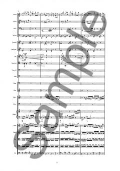 Triple Concerto von Anders Koppel 