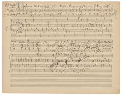 Neue Liebeslieder / Walzer op. 65 von Johannes Brahms 