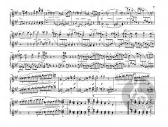 Symphonien Nr. 3 und 4 von Johannes Brahms 