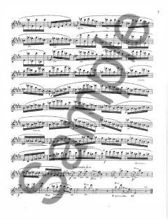 24 Caprices for Solo Flute von Niccolò Paganini 