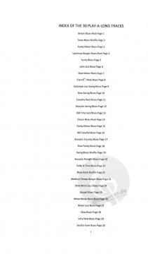 The Blues Play-A-Long And Solos Collection (Beginner Series) von Andrew D. Gordon 