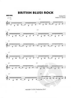 The Blues Play-A-Long And Solos Collection (Beginner Series) von Andrew D. Gordon 