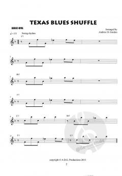 The Blues Play-A-Long And Solos Collection (Beginner Series) von Andrew D. Gordon 