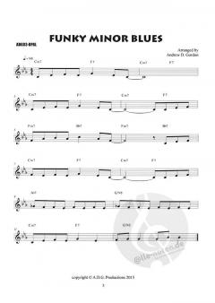 The Blues Play-A-Long And Solos Collection (Beginner Series) von Andrew D. Gordon 