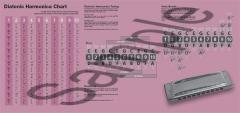 Harmonica Playing Guide im Alle Noten Shop kaufen kaufen