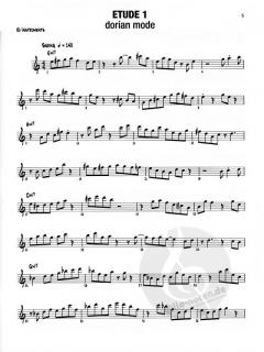 Playing On The Changes von Bob Mintzer für Instrumente in Es im Alle Noten Shop kaufen