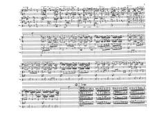 White Flower Songs (Ole Buck) 