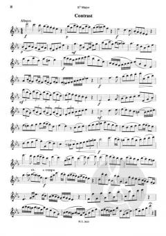 Fabulous Flutes von Jan van Beekum 