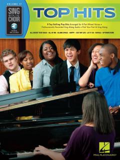 Sing with the Choir Vol. 17: Top Hits 