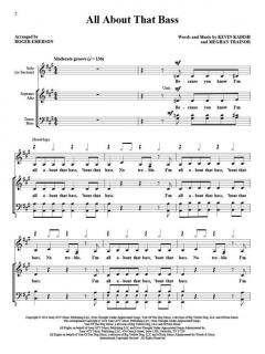 Sing with the Choir Vol. 17: Top Hits 