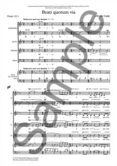 Beati Quorum Via von Owain Park 