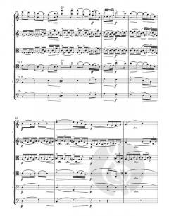 Serenade op. 20 von Edward Elgar 