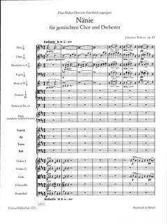 Nänie op. 82 von Johannes Brahms 