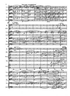 Siegfried-Idyll WWV 103 von Richard Wagner 