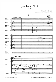 Symphonie Nr. 9 e-moll op. 95 von Antonín Dvorák 