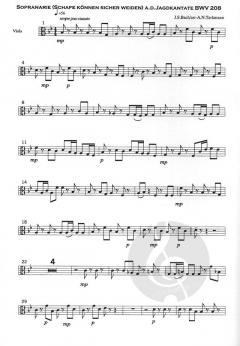 Schafe können sicher weiden BWV 203 von Johann Sebastian Bach 