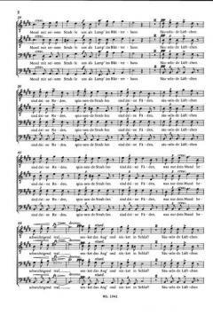 Nachtgesang im Walde op. post. 139 D 913 (Franz Schubert) 