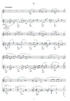 Sonatina for Flute and Guitar (Stefan Soewandi) 