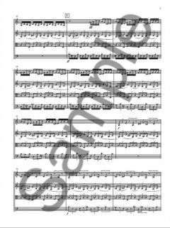 String Quartet No. 10 von Kevin Volans 