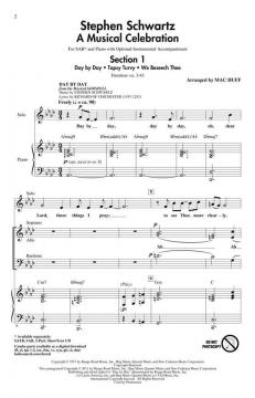 Stephen Schwartz - A Musical Celebration (Stephen L. Schwartz) 