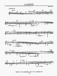 20 Studies In Fixed Positions von Alan Hirsch 
