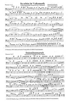 Lustige Musikanten 25 