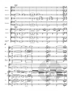 Konzert Nr. 2 B-Dur op. 19 von Ludwig van Beethoven für Klavier und Orchester im Alle Noten Shop kaufen (Partitur)