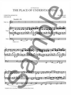 The Place Of Understanding von Nico Muhly 