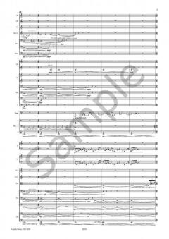 Drifts von Sebastian Fagerlund Für Orchester im Alle Noten Shop kaufen (Partitur)