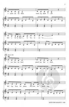 Song For Sarajevo (Judy Collins) 