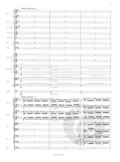Tapiola op. 112 von Jean Sibelius 