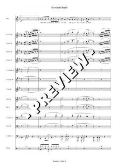 Es wurde Nacht (Bernhard Ullrich) 