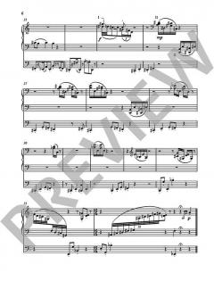 Concerto 3 von Peter Wittrich 