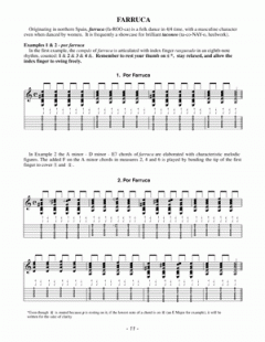 The Keys To Flamenco Guitar Vol. 1 von Denis Koster 